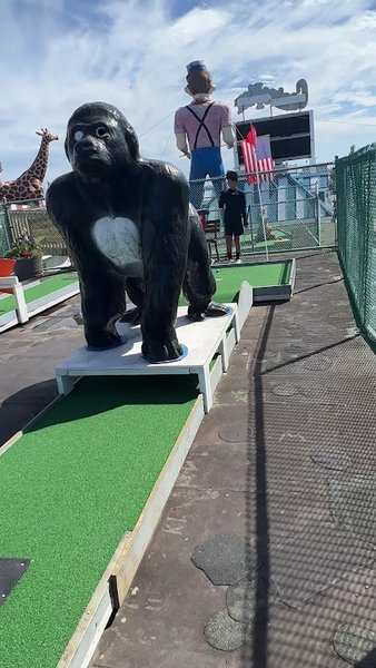 Wacky Rooftop Golf photo 5