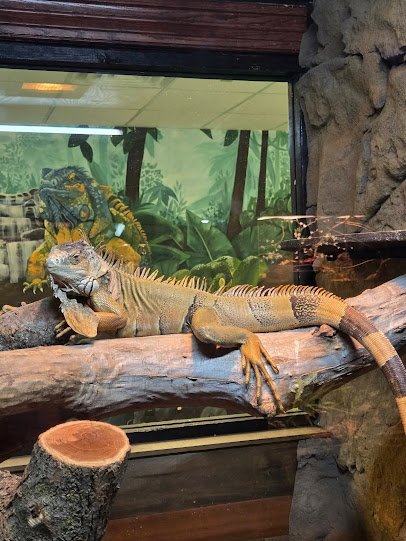 Reptile Adventure Zoo photo 2