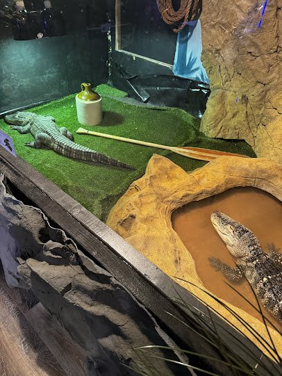 Reptile Adventure Zoo photo 6