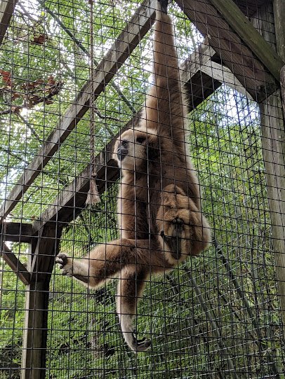 Louisiana Purchase Gardens & Zoo photo 3