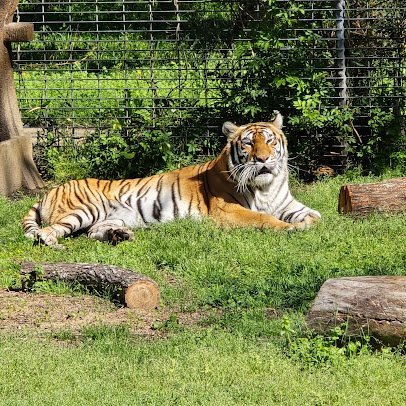 Louisiana Purchase Gardens & Zoo photo 4
