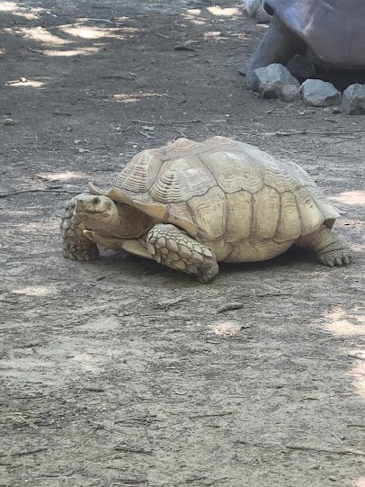 Louisiana Purchase Gardens & Zoo photo 6