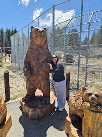 Big Bear Alpine Zoo photo 4