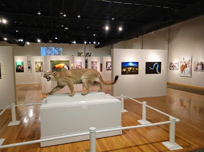 Roberson Museum photo 6