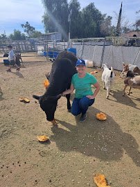 Rancho Los Fonseca photo 2