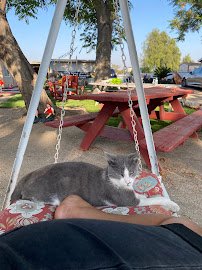 Rancho Los Fonseca photo 5