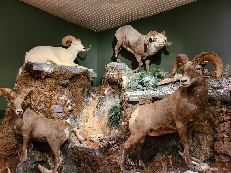 Meeteetse Museums photo 4