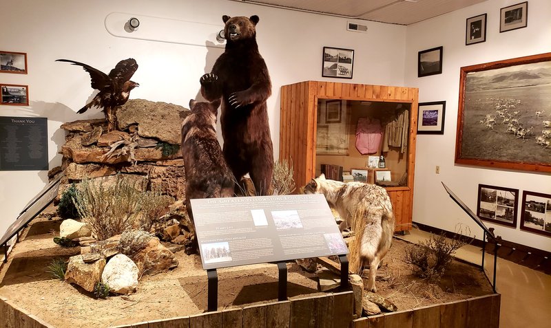 Meeteetse Museums photo 6