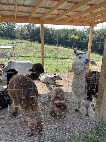 Springtime Exotic Petting Farm Sevierville photo 4