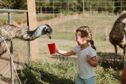 Springtime Exotic Petting Farm Sevierville photo 6