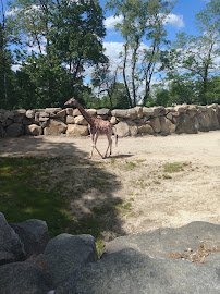 Petting Zoo photo 2