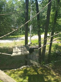 Petting Zoo photo 5