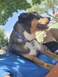 Community Splash Park photo 4