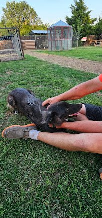 A2Z therapeutic Petting Zoo photo 4