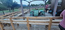 A2Z therapeutic Petting Zoo photo 5