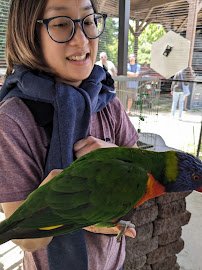 Parrot Playhouse photo 6