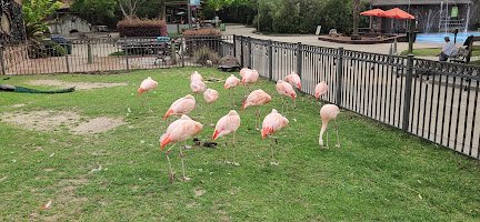 Hattiesburg Zoo photo 2