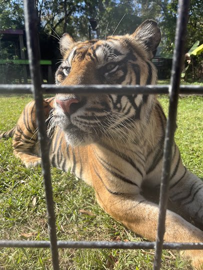 Hattiesburg Zoo photo 6