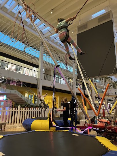 Jump Star Bungee Trampoline photo 3
