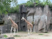 Milwaukee County Zoo photo 2