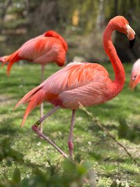 Milwaukee County Zoo photo 3