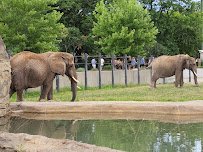 Milwaukee County Zoo photo 4