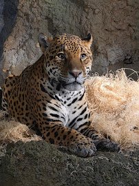 Milwaukee County Zoo photo 6