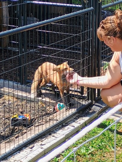 The Haven Zoo photo 2