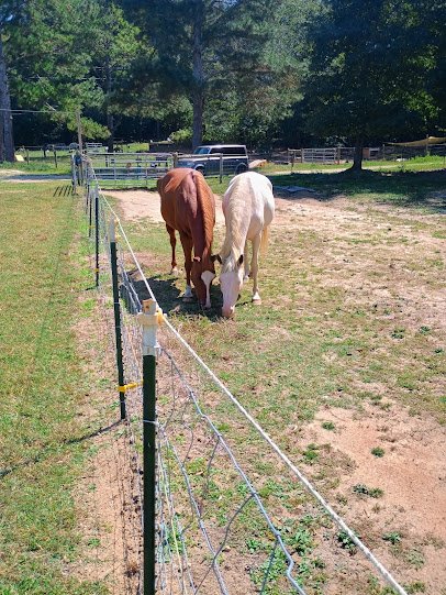 The Haven Zoo photo 6