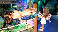 Dinosaur Outpost photo 2