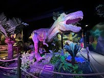 Dinosaur Outpost photo 3