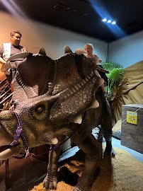 Dinosaur Outpost photo 4