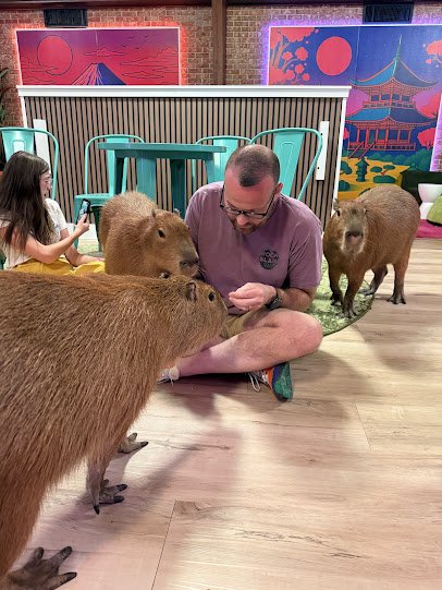 Wild Encounters -A Capybara Cafe photo 2