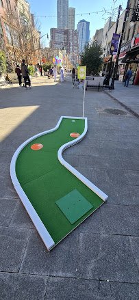 Eagle Eye Mini Golf photo 4