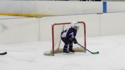 Eddie Edgar Ice Arena photo 5