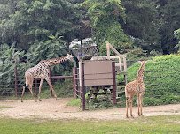 Franklin Park Zoo photo 4