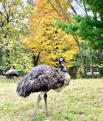 Franklin Park Zoo photo 6
