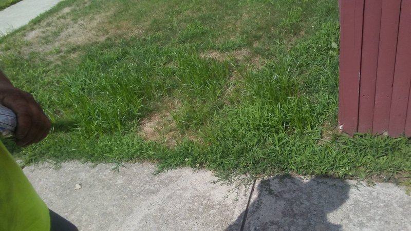 Feldman Spray Park photo 2