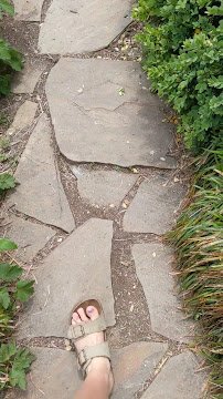The Arboretum, State Botanical Garden of Kentucky photo 2