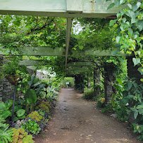 The Arboretum, State Botanical Garden of Kentucky photo 5