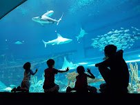 Texas State Aquarium