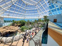 Texas State Aquarium photo 3