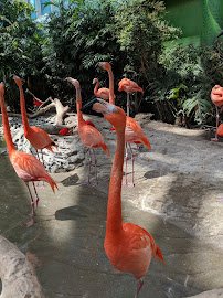 Texas State Aquarium photo 6
