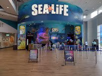 SEA LIFE Orlando Aquarium photo 4