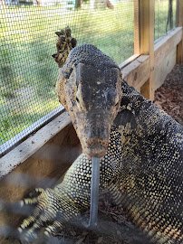 Animal Adventures Family Zoo & Rescue Center photo 6