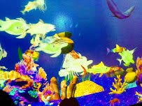 Explora Science Center and Children's Museum of Albuquerque photo 5