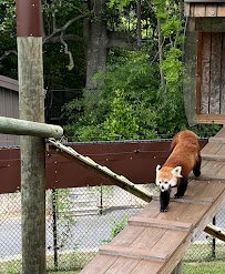 Asia - Trail of the Tiger photo 3