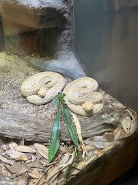 Asia - Trail of the Tiger photo 4