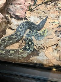 Asia - Trail of the Tiger photo 5