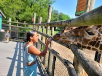 Dickerson Park Zoo photo 4